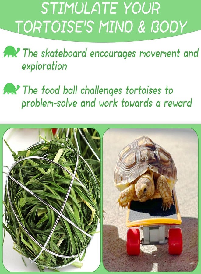 Niuohoy Tortoise Treat Ball and Mini Turtle Skateboard Set, Training Skateboard Toy & Tortoise Treat Ball Hanging Feeding Turtle Tank Accessories for Pet Turtle Tortoises Small Animals - Image 3